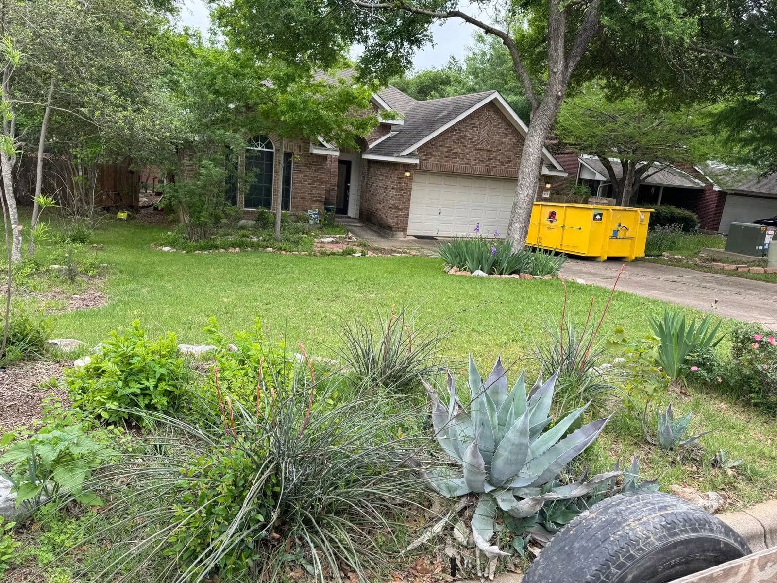 Front garden before cleanup