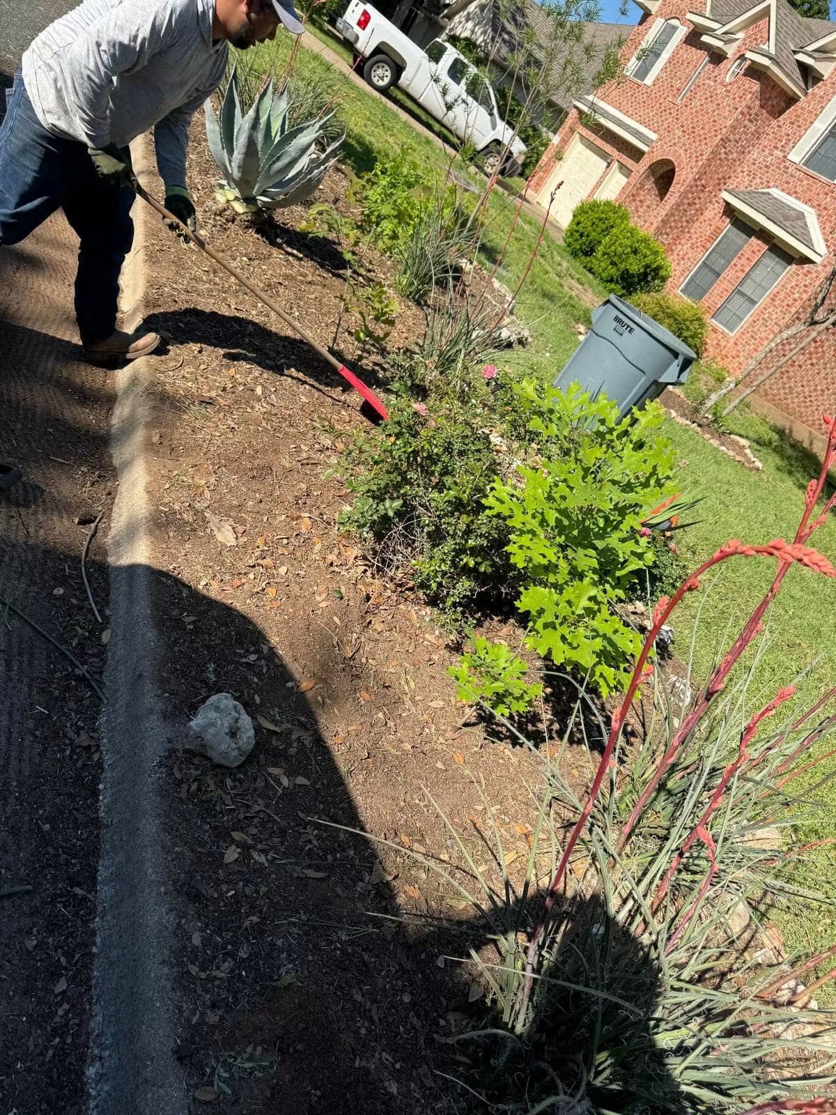 Crew member shaping a residential front garden bed