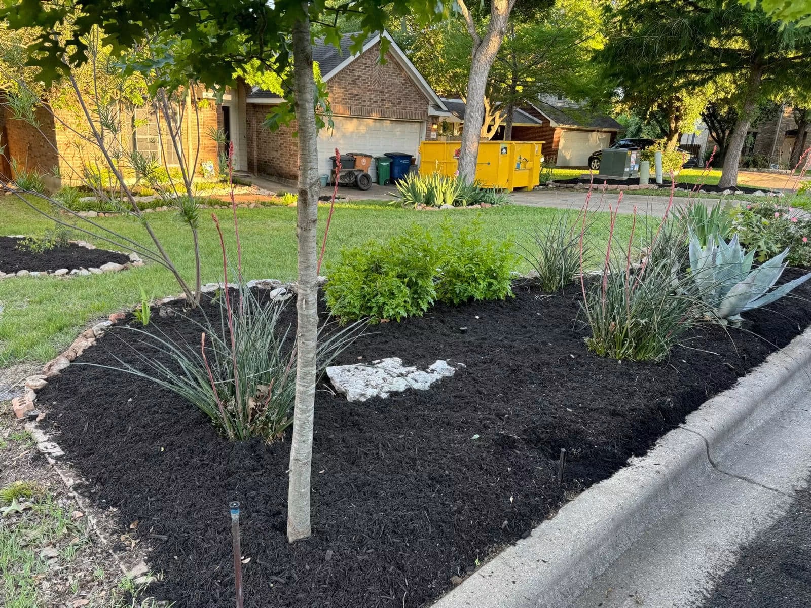 Residential front garden after bed shaping, stone edging, and fresh dark mulch